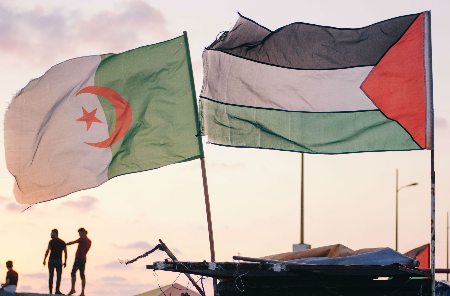 الجزائري هو الفلسطيني القديم!